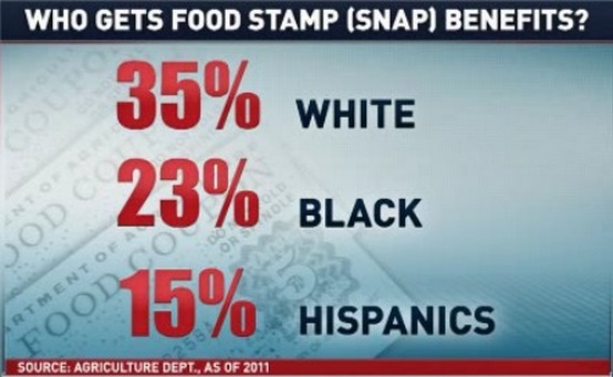 food-stamps-race-1