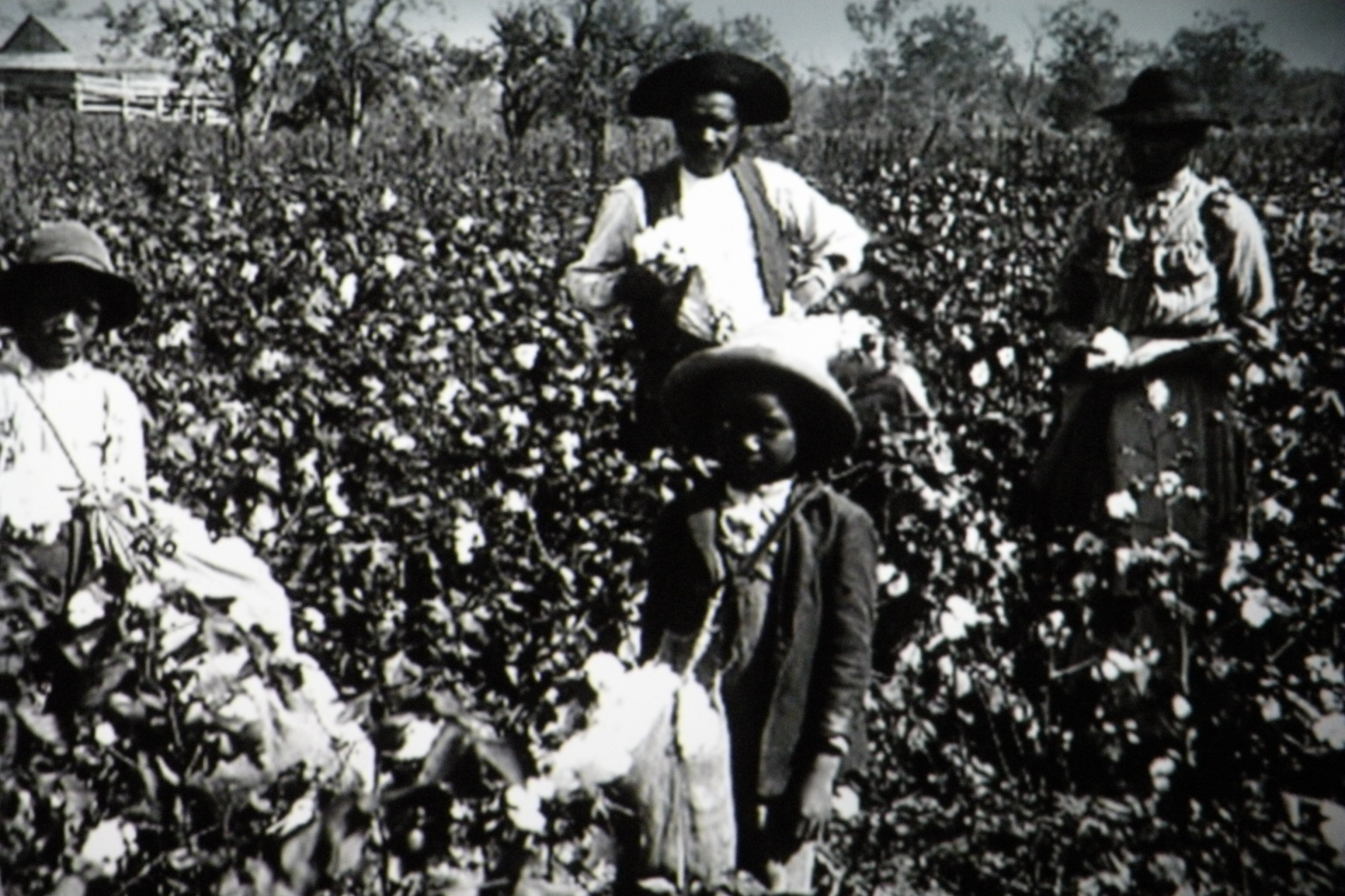 10 Real Facts About Slavery That Hollywood Never Gets Right