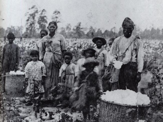 6 Startling Things About Sex Farms During Slavery That You May Not Know