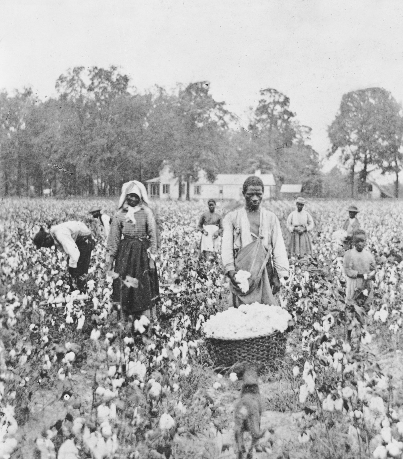 Sharecropper Family Atlanta Black Star