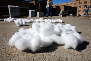 Cotton balls lie scattered in front of the Gaines/Oldham Black Culture Center on Feb. 26. Witnesses said the cotton balls were thrown around the building between 1:30 and 2 a.m. early that morning. ¦ WONSUK CHOI