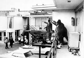 Aides on the balcony of the Lorraine Motel in Memphis, Tenn. with the stricken Dr. King.