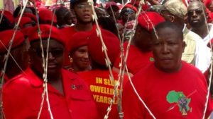 EFF leader Julius Malema (R) led protesters outside the court