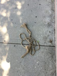 Photo of the noose discovered on DePaul University's Lincoln Park campus in Chicago. Photo courtesy of Twitter.