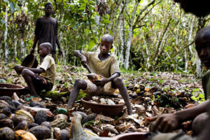 Child labor used to make chocolate (West Africa)
