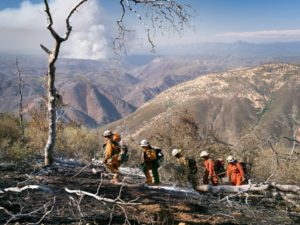 California's Wildfires
