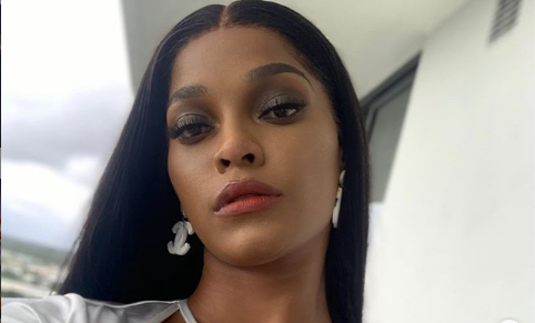 Put Some Pants On Joseline Hernandez S Sexy Pic Derails After Fans