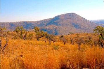 10 Parks That Best Display South African Landscape, Wildlife
