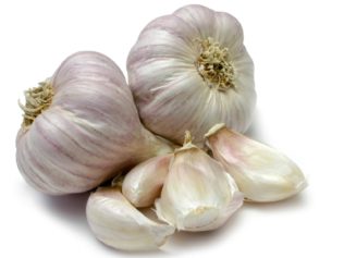 Garlic Will Stop West Nile Virus Mosquitoes From Biting