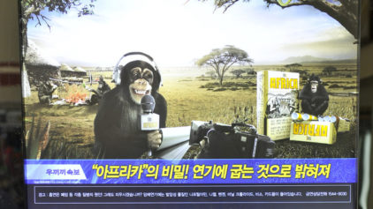 South Korean Cigarette Firm Pulls Racist Monkey Ads