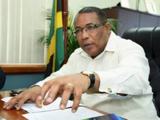 Jamaicans Dream Big With Plans For Global Logistics Hub