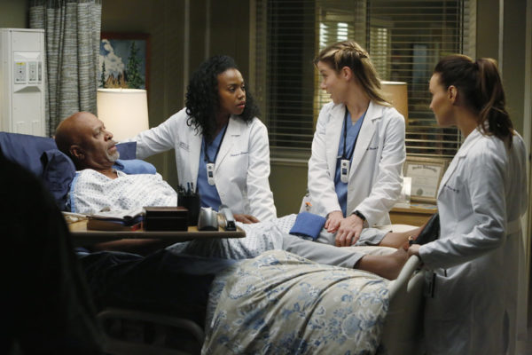 Grey's Anatomy Season 10, Episode 10: Somebody That I Used to Know 