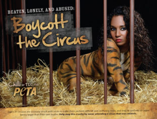 Chilli Strips Down for PETA's 'Boycott the Circus' Campaign