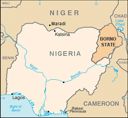 Nigerian Troops Kill 20 in Fight Against Boko Haram