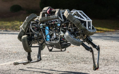 A Machine Future: Google Making More Robots
