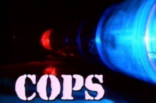 Cops season 26, episode 15