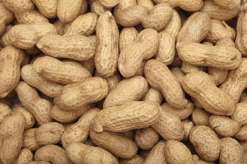 Would Peanut Allergy Therapy Work for Kids?