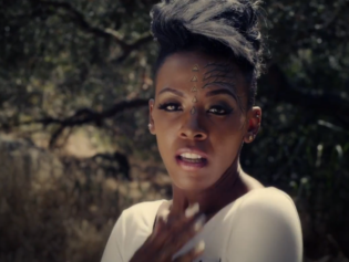 Peep This: Dawn Richard's 'Riot' And 'Northern Lights' Videos