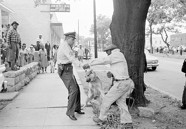 Man with knife attempting to stab police dog Birmingham, Alabama, May 3, 1963 Photograph by Bill Hudson