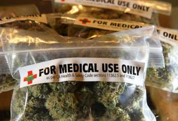 Caribbean Medical Community Disagrees on Impact of Decriminalization of Marijuana