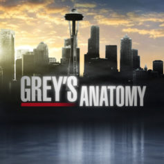 â€˜Greyâ€™s Anatomyâ€™ Season 10, Episode 18 : â€˜You Be Illinâ€™