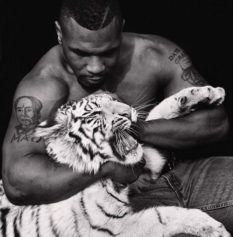 Mike Tyson Pet Tiger