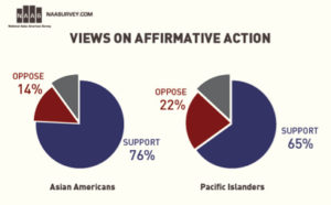Asian American views on affirmative action 