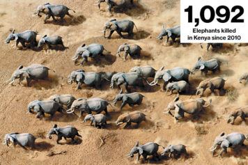 Kenya to Deploy Drones to Deflect Growing Poaching Problem