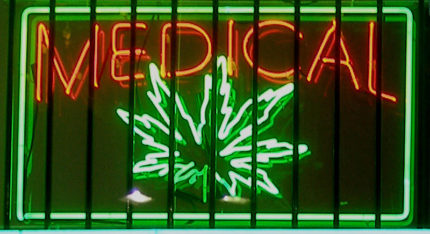 Nonprofit Organization Urges Jamaica to Lead Research on Medical Marijuana