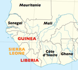 Guinea Closes Borders With Sierra Leone, Liberia in Attempt to Stop Spread of Ebola