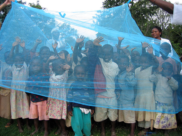 mosquito nets to prevent malaria