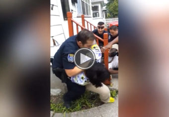 This Montage Of Videos Shows Just How Inhumane White Cops Treat Black Women