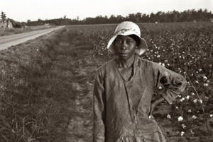 cotton picker arkansas pulaski county