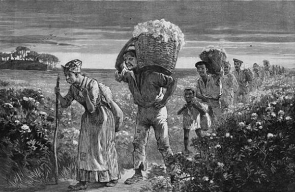 Field workers during slavery 
