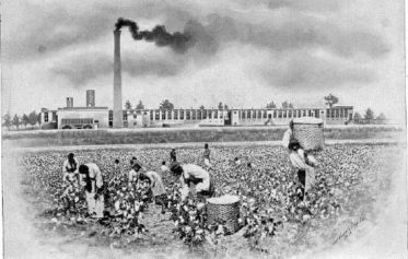 9 Facts Proving Slavery Was Responsible for American and European Economic Success