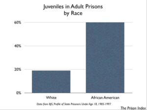 Young blacks in adult prisons 