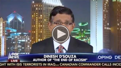 Author Dinesh D'Souza Views on Colorblindness and the Importance of Discussing Race Are So Ridiculous Even Fox Host Megyn Kelly Isn't Buying It