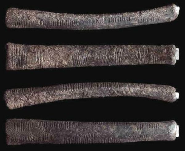Ishango bone resize