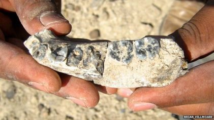 Scientist Discovery of Ancient Jawbone in Ethiopia Is More Evidence That Suggests The 1st Humans Were African