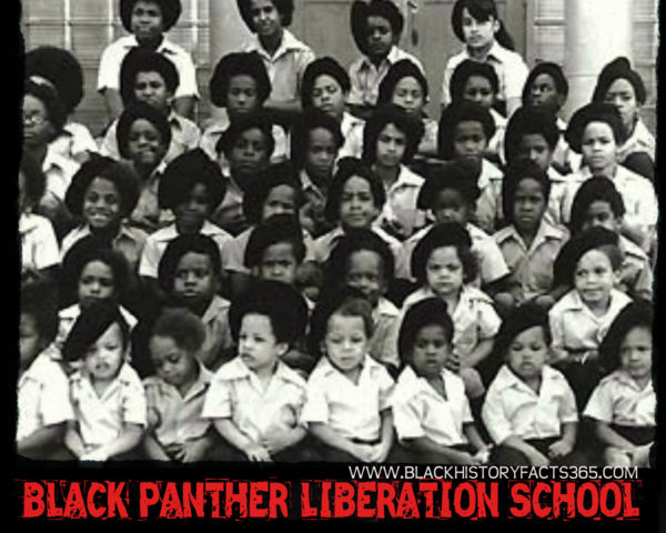 Image result for black panther party youth institute