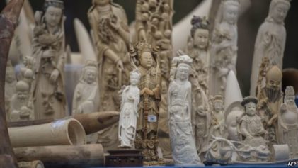 Tanzanian Government Urges China to Curb Its Need for Ivory