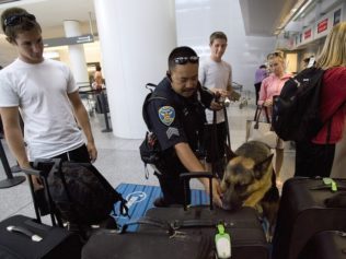 TSA to Receive a Major Shakeup After Failing to Detect 95 Percent of Mock Weapons in Secret Trial