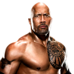 Is Dwayne Johnson Black? Hollywood Doesn't Seem to Think So
