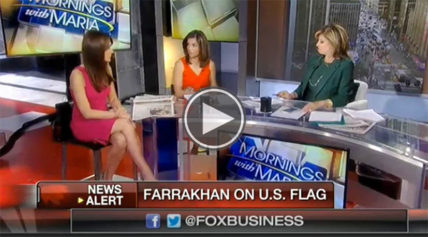 See Why Minister Farrakhan Has Some Inflammatory Words About the US Flag in Comparison to the Confederate Flag