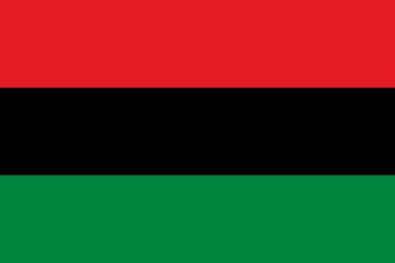 8 Things About The Black Liberation Flag You May Not Know