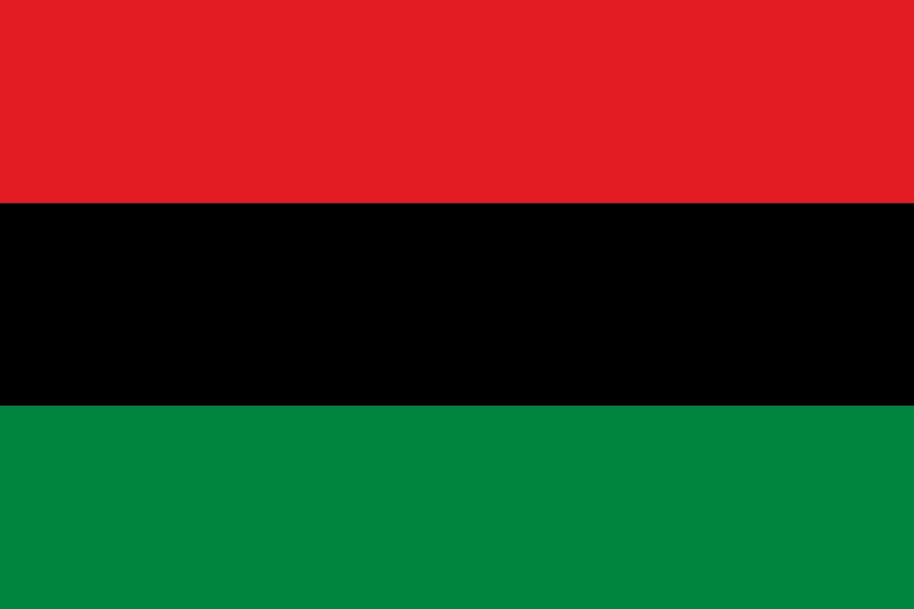 8 Things About The Black Liberation Flag You May Not Know