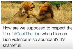 Satire about Cecil the Lion  #staywoke