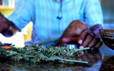 Jamaican Entrepreneurs Hope to Cash in on the Country's Recent Decriminalization of Marijuana