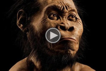 The Way Scientists Rebuilt the Face of This Newly Found Fossil of a Human Predecessor in Africa Will Amaze You