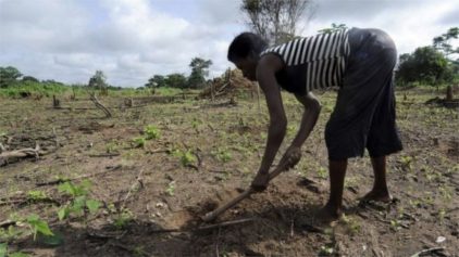 African Farmers Need Investment to Ensure Future Food Production in the Face of Climate Change